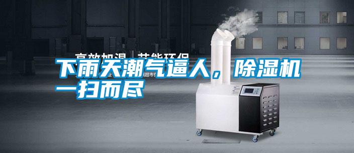 下雨天潮氣逼人，除濕機一掃而盡