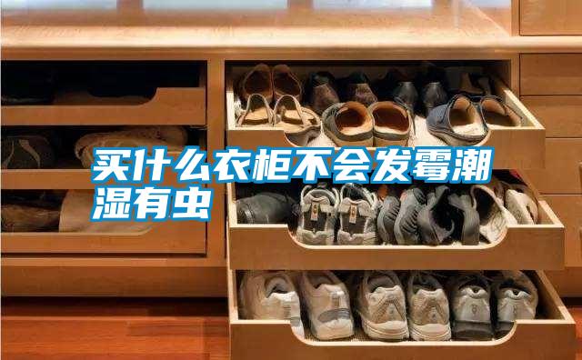 買什么衣柜不會(huì)發(fā)霉潮濕有蟲(chóng)