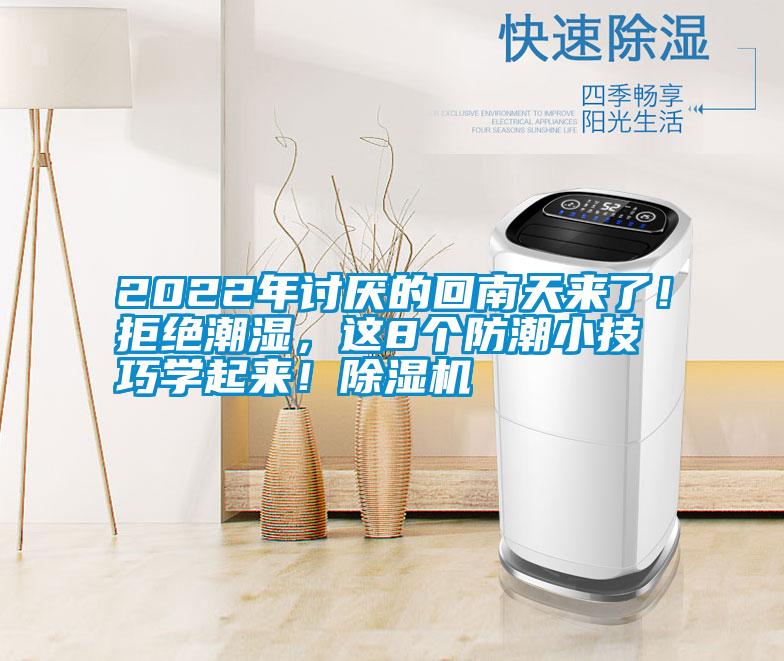 2022年討厭的回南天來了！拒絕潮濕，這8個防潮小技巧學起來！除濕機