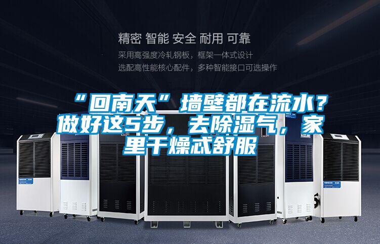 “回南天”墻壁都在流水？做好這5步，去除濕氣，家里干燥忒舒服