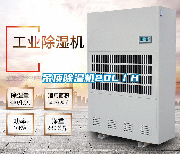 吊頂除濕機(jī)20L/H