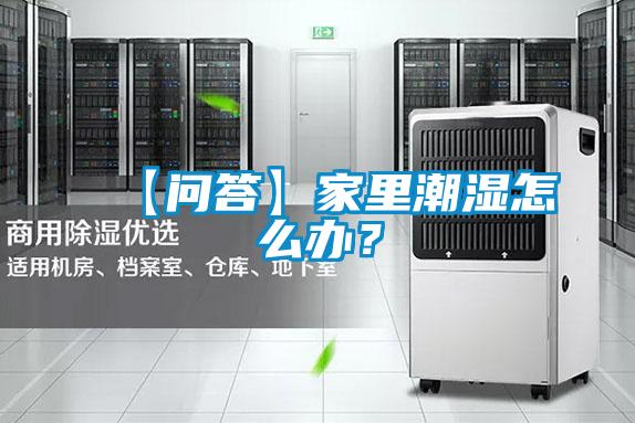【問(wèn)答】家里潮濕怎么辦？