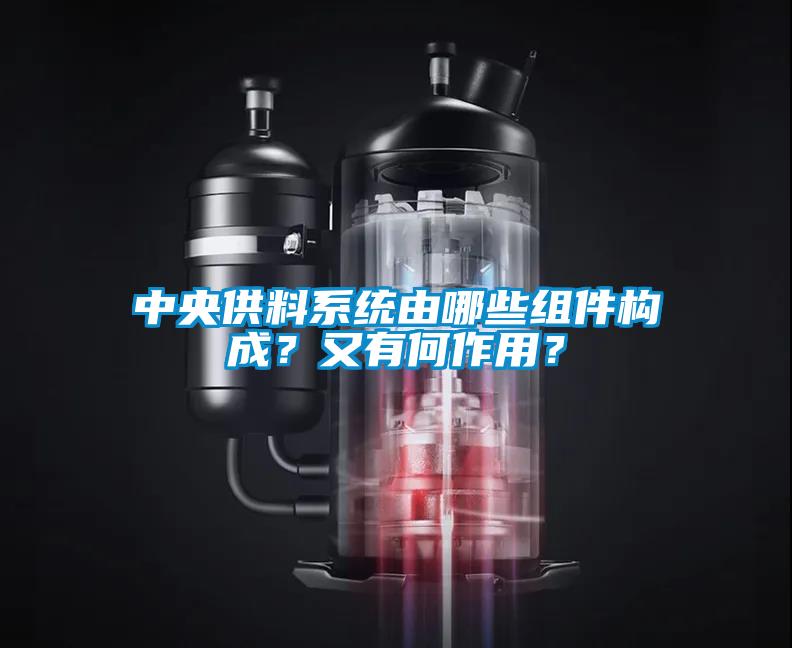 中央供料系統由哪些組件構成？又有何作用？