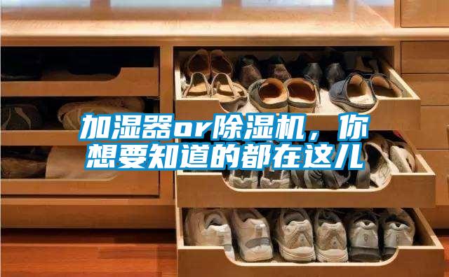 加濕器or除濕機，你想要知道的都在這兒