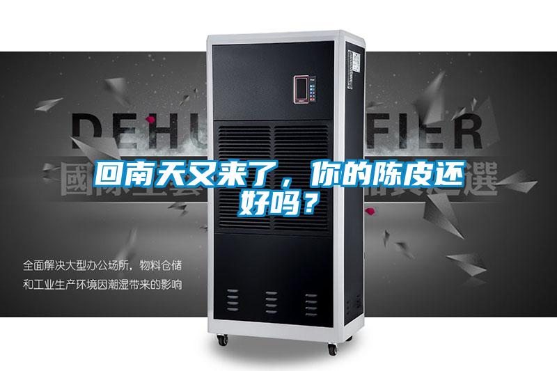 回南天又來了，你的陳皮還好嗎？