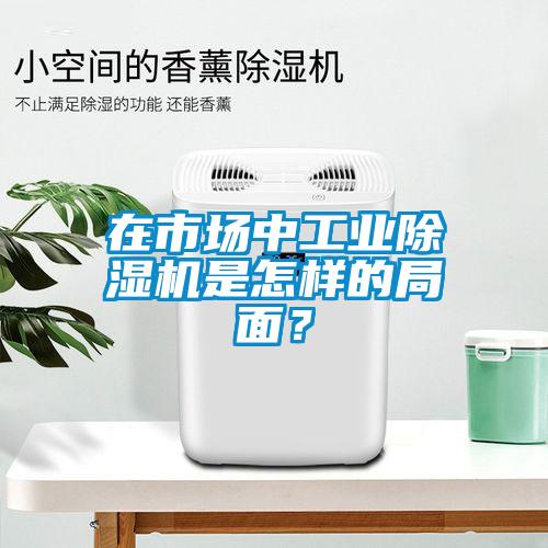 在市場中工業(yè)除濕機(jī)是怎樣的局面？
