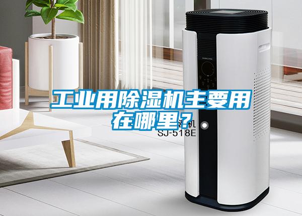 工業用除濕機主要用在哪里？