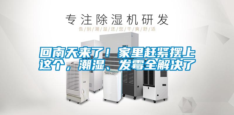 回南天來了！家里趕緊擺上這個，潮濕、發霉全解決了