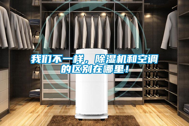 我們不一樣，除濕機和空調的區(qū)別在哪里！