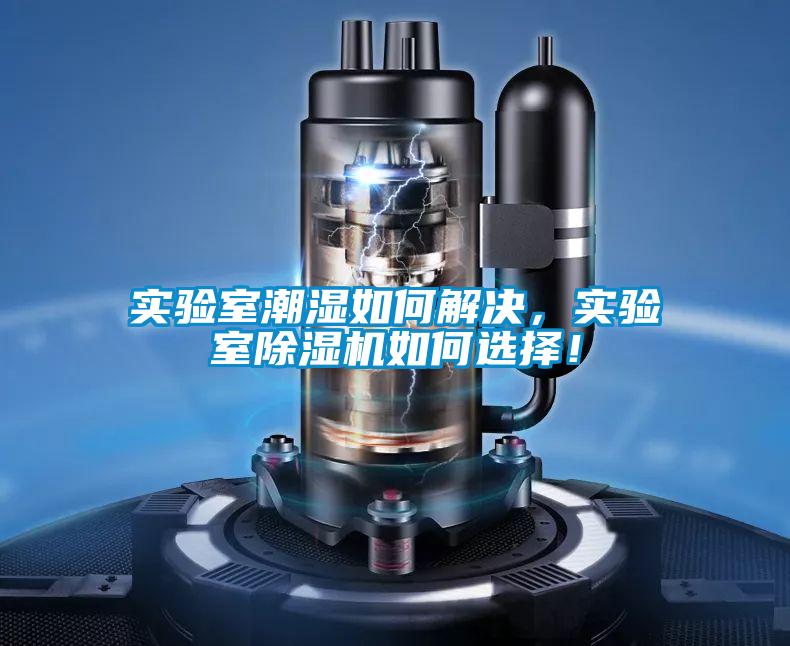 實驗室潮濕如何解決，實驗室除濕機如何選擇！