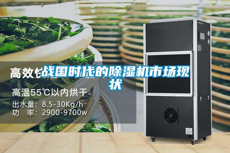 戰(zhàn)國(guó)時(shí)代的除濕機(jī)市場(chǎng)現(xiàn)狀