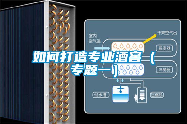 如何打造專業酒窖(專題一)