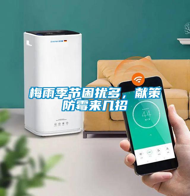 梅雨季節困擾多，獻策防霉來幾招