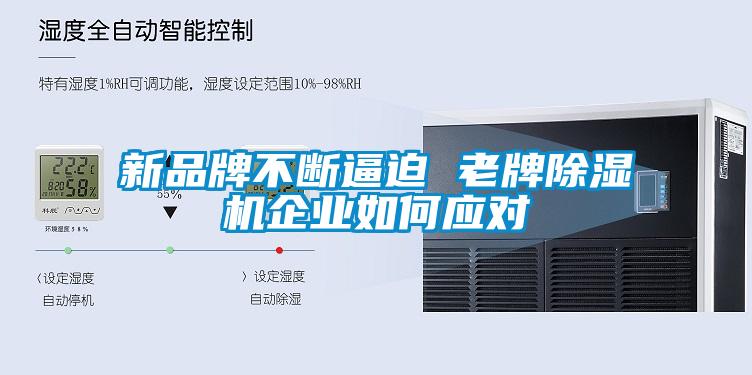 新品牌不斷逼迫 老牌除濕機(jī)企業(yè)如何應(yīng)對