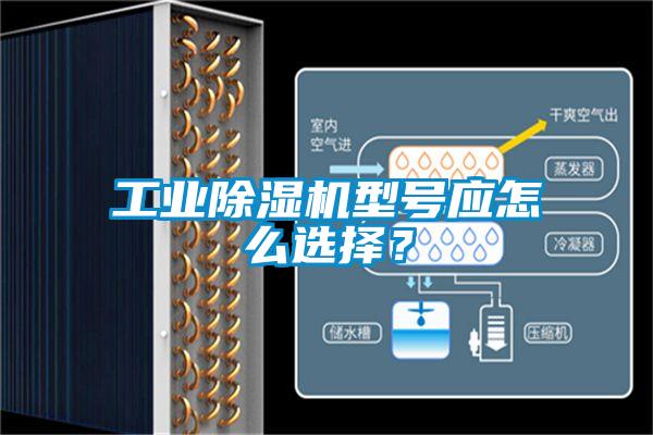 工業(yè)除濕機型號應怎么選擇？