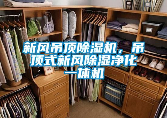 新風(fēng)吊頂除濕機(jī)，吊頂式新風(fēng)除濕凈化一體機(jī)