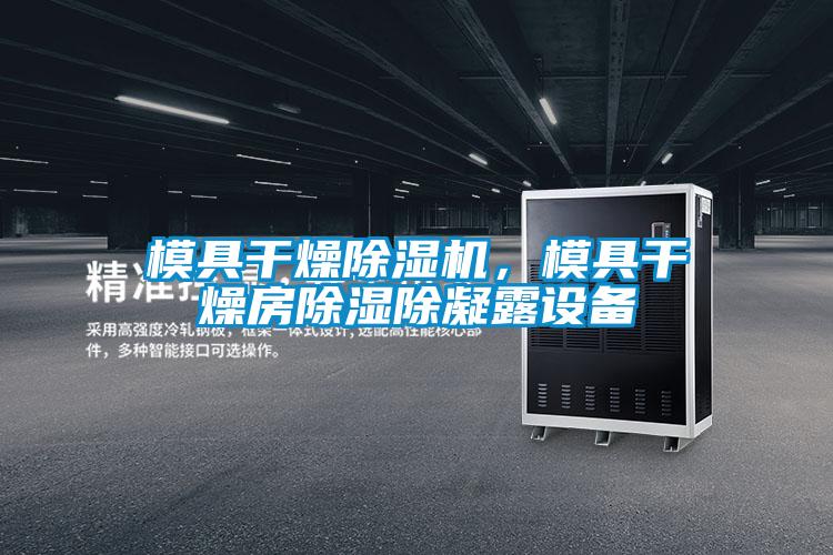 模具干燥除濕機，模具干燥房除濕除凝露設備