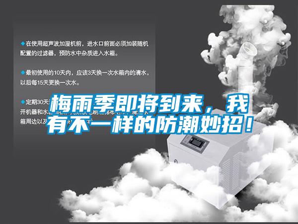 梅雨季即將到來，我有不一樣的防潮妙招！