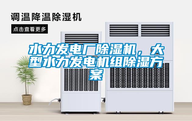 水力發電廠除濕機，大型水力發電機組除濕方案