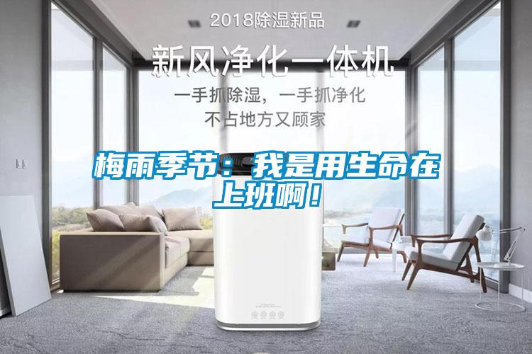 梅雨季節(jié)：我是用生命在上班??！