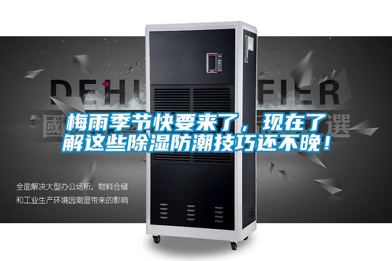 梅雨季節快要來了，現在了解這些除濕防潮技巧還不晚！