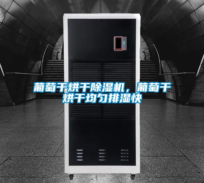 葡萄干烘干除濕機，葡萄干烘干均勻排濕快