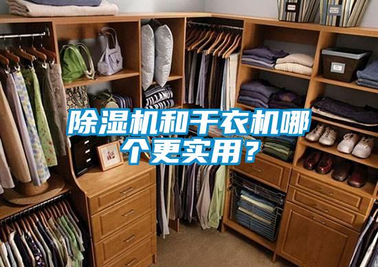 除濕機和干衣機哪個更實用?