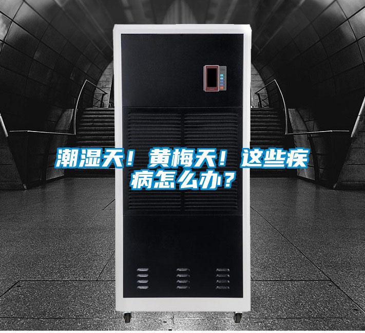 潮濕天！黃梅天！這些疾病怎么辦？