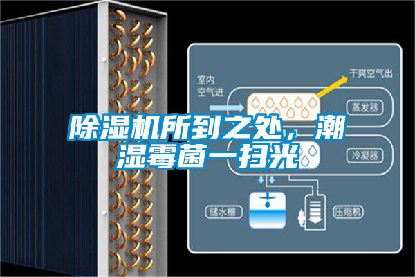 除濕機所到之處，潮濕霉菌一掃光