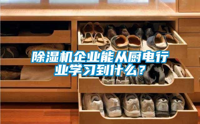 除濕機企業能從廚電行業學習到什么？