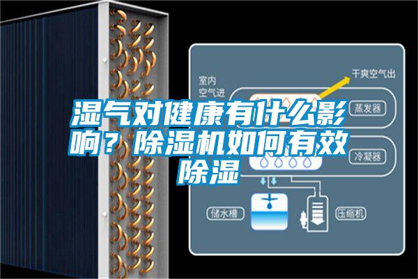 濕氣對健康有什么影響？除濕機如何有效除濕