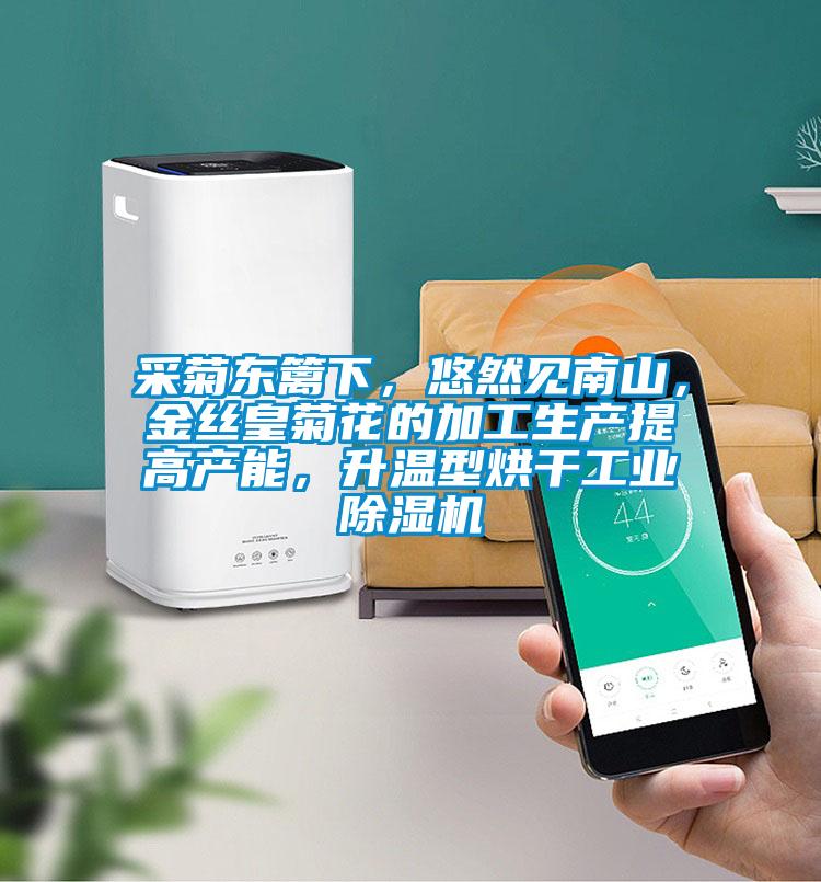 采菊東籬下，悠然見南山，金絲皇菊花的加工生產(chǎn)提高產(chǎn)能，升溫型烘干工業(yè)除濕機