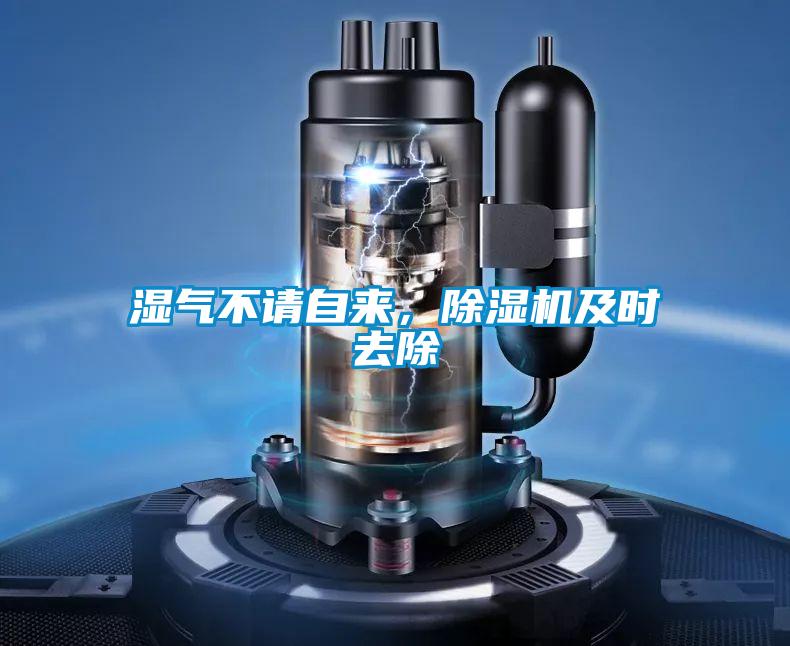 濕氣不請自來,除濕機及時去除