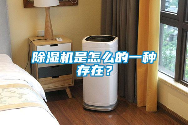 除濕機是怎么的一種存在？