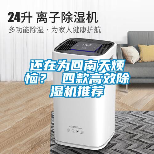 還在為回南天煩惱？ 四款高效除濕機推薦