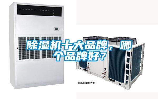 除濕機十大品牌，哪個品牌好？