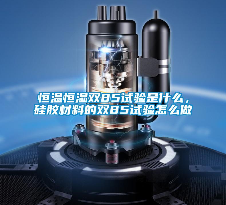恒溫恒濕雙85試驗是什么，硅膠材料的雙85試驗怎么做