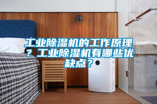 工業除濕機的工作原理？工業除濕機有哪些優缺點？