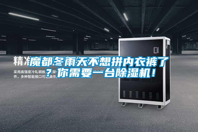 魔都冬雨天不想拼內衣褲了？你需要一臺除濕機！