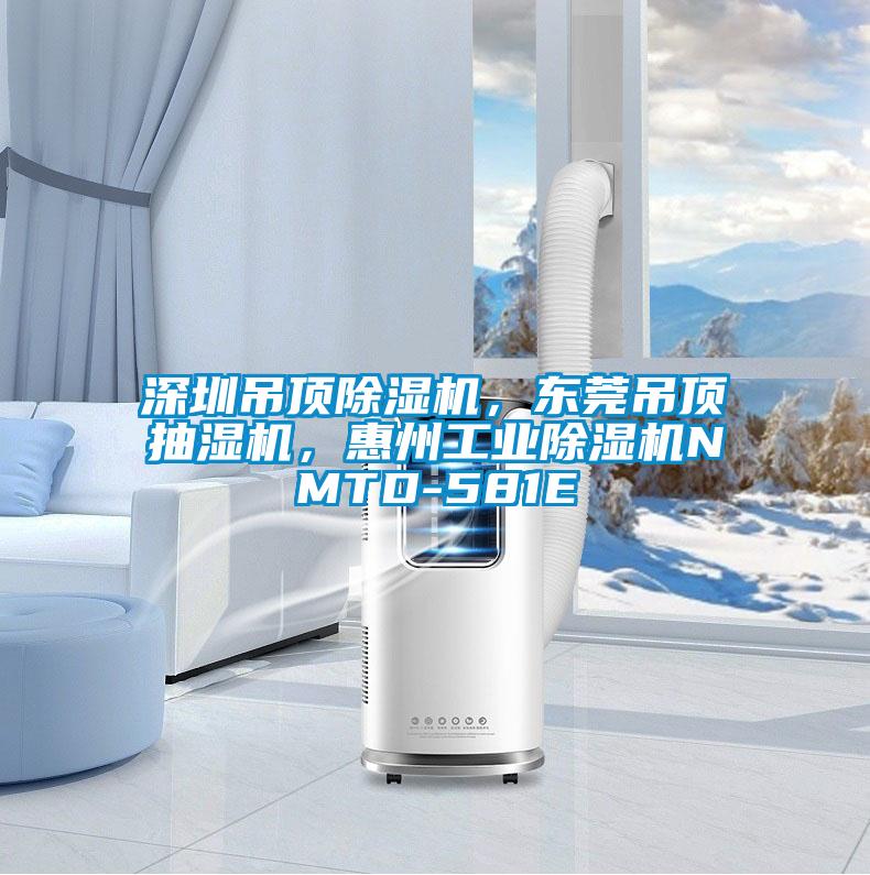 深圳吊頂除濕機，東莞吊頂抽濕機，惠州工業(yè)除濕機NMTD-581E