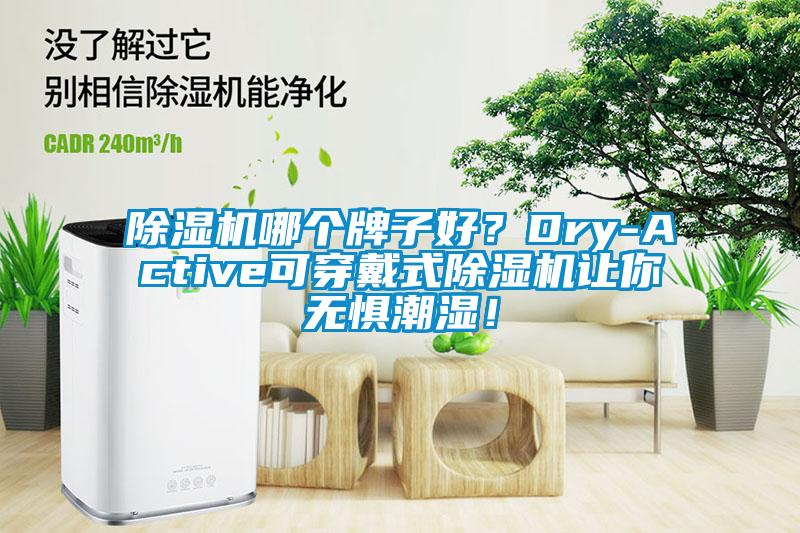 除濕機哪個牌子好？Dry-Active可穿戴式除濕機讓你無懼潮濕！