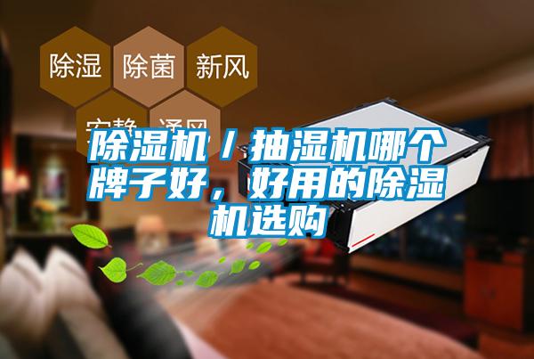 除濕機(jī)／抽濕機(jī)哪個(gè)牌子好，好用的除濕機(jī)選購(gòu)