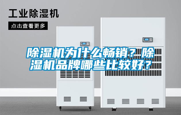 除濕機(jī)為什么暢銷(xiāo)？除濕機(jī)品牌哪些比較好？