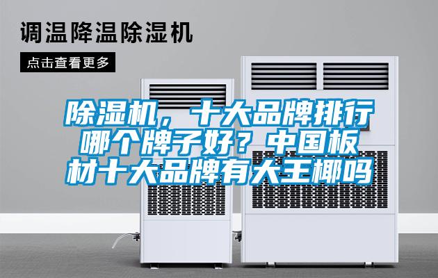 除濕機(jī)，十大品牌排行哪個牌子好？中國板材十大品牌有大王椰嗎