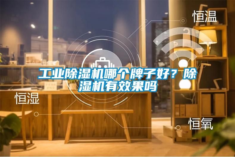 工業除濕機哪個牌子好？除濕機有效果嗎