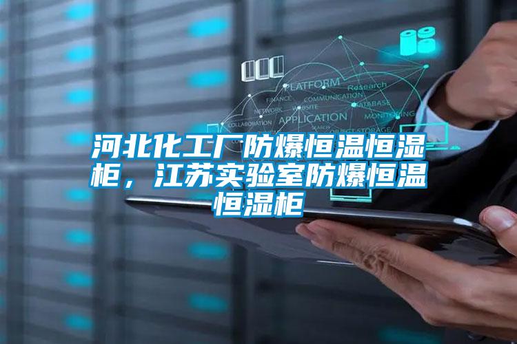 河北化工廠防爆恒溫恒濕柜，江蘇實驗室防爆恒溫恒濕柜