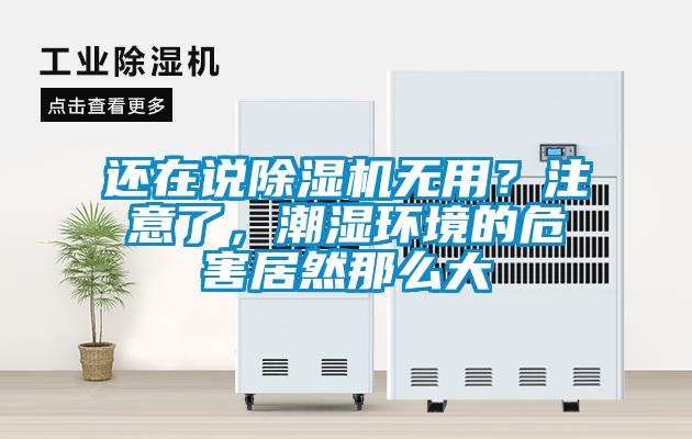 還在說除濕機無用？注意了，潮濕環境的危害居然那么大