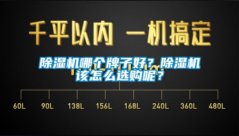 除濕機(jī)哪個牌子好？除濕機(jī)該怎么選購呢？