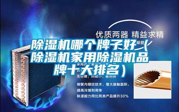 除濕機(jī)哪個牌子好（除濕機(jī)家用除濕機(jī)品牌十大排名）