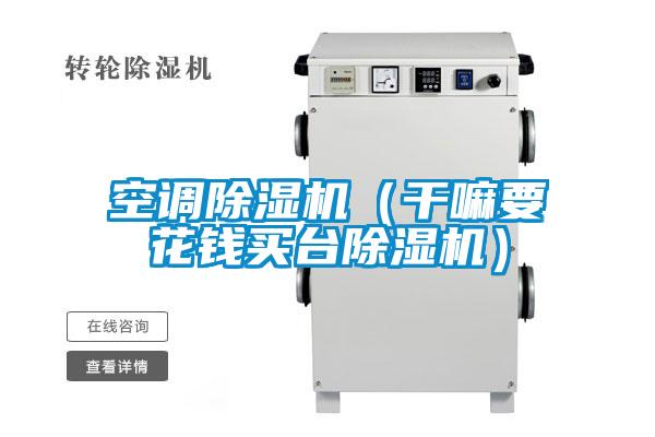 空調(diào)除濕機(jī)(干嘛要花錢買臺除濕機(jī))